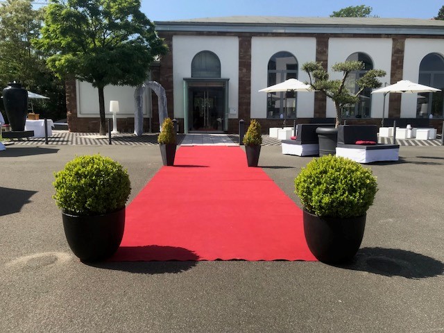 Roter Teppich